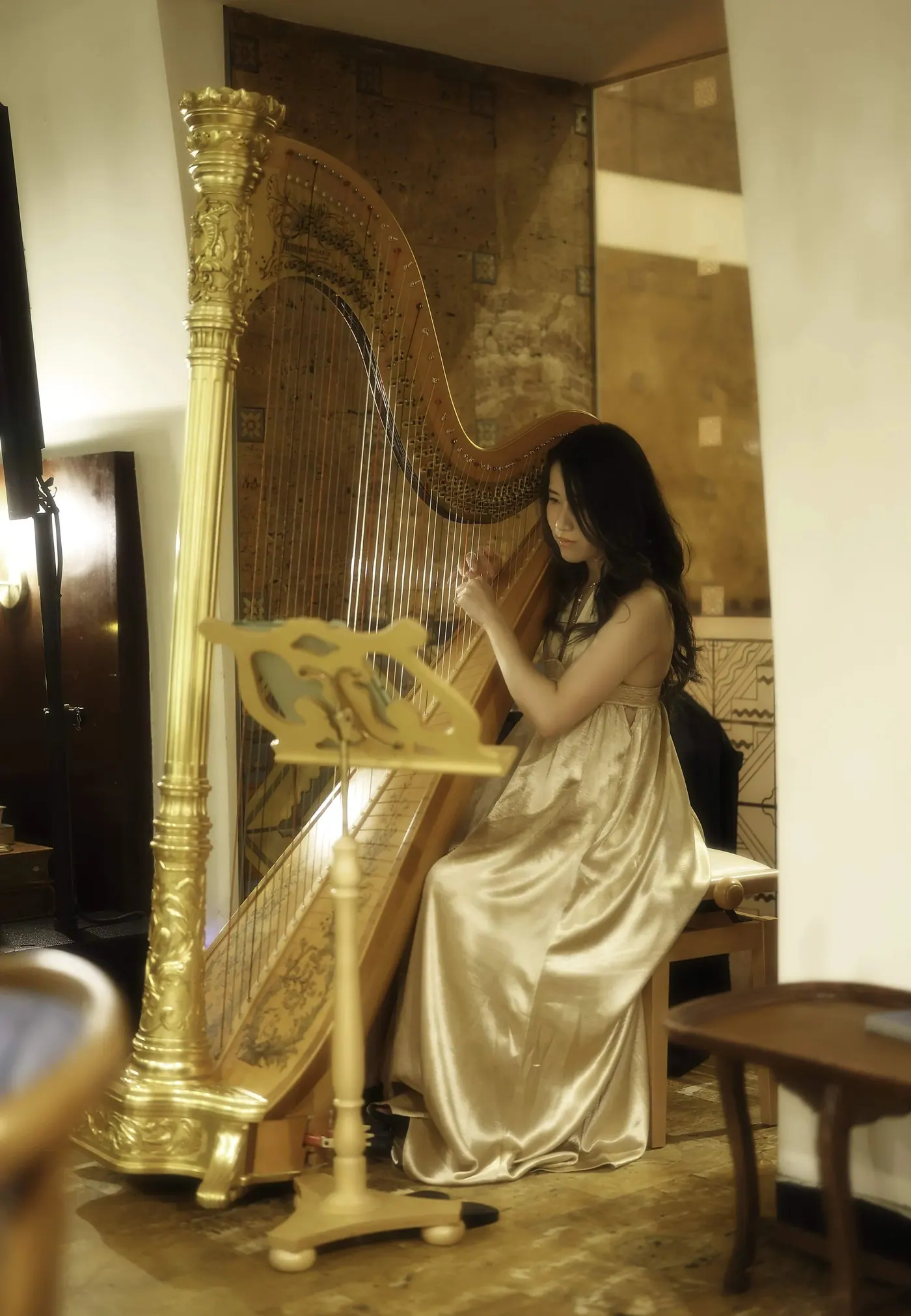 Tiffany, harpist — photo 2