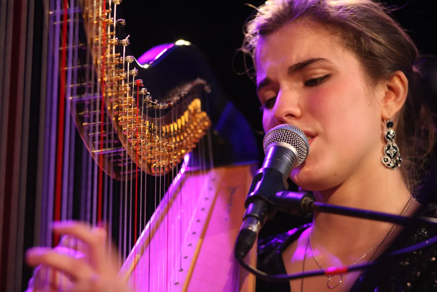 Harpist