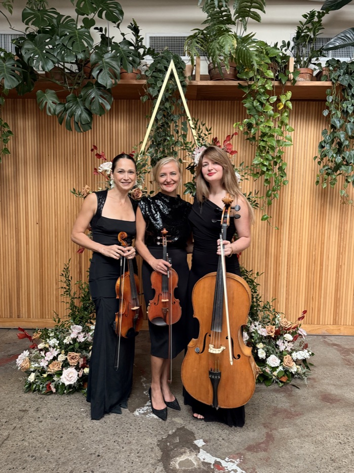Pizzi Strings